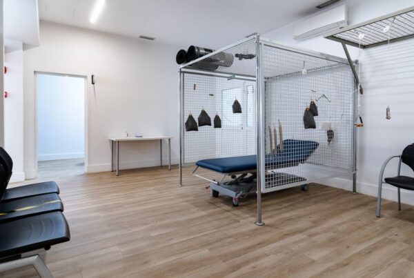 Instalaciones de fisioterapia con equipamiento de suspensión en Clínica Arnao